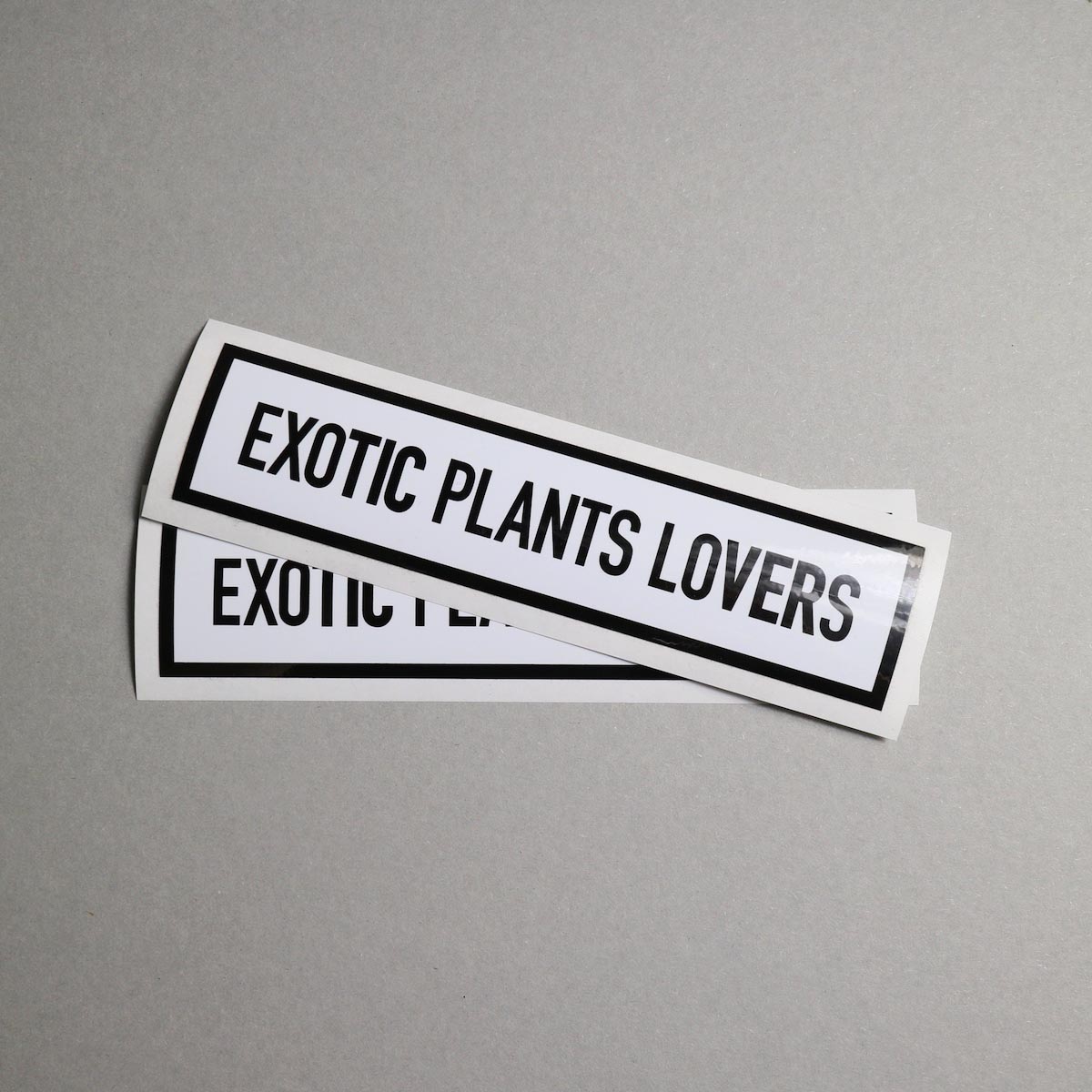 BOTANIZE / "EXOTIC PLANTS LOVER" Sticker (Ver.2)