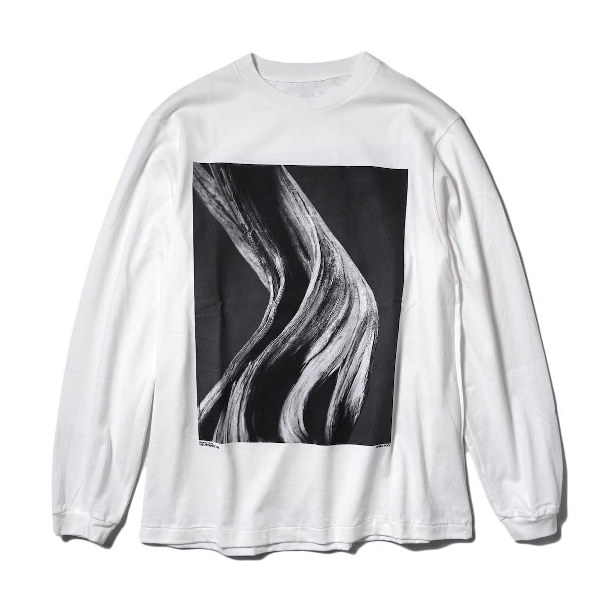 JANE SMITH / SEED POD AND DRIDE FLOWER LONG SLEEVE T-SHIRT (White)